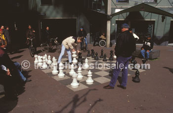 BIG CHESS