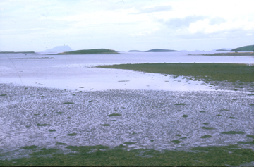 WESTPORT BAY
