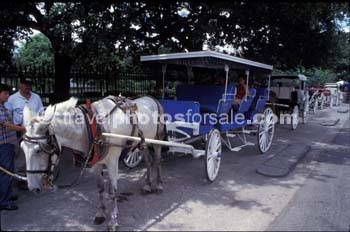 NEW ORLEANS TRANSPORT