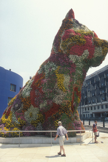 DOG SHRUB