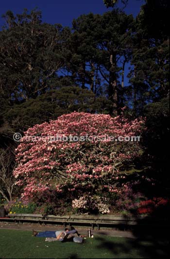 BOTANICAL GARDENS