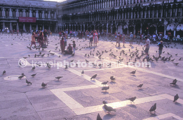 ST MARKS SQUARE VENICE