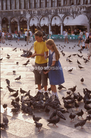 FEEDING THE BIRDS
