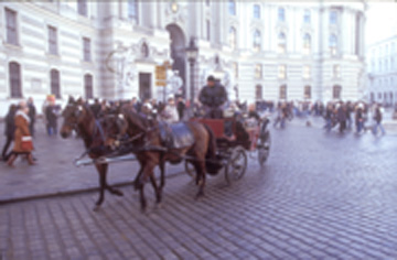CARRIAGE AROUND HOFBURG