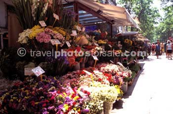 FLOWER STALL