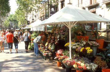 FLOWERS FOR SALE
