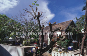 LOCAL RESIDENCE