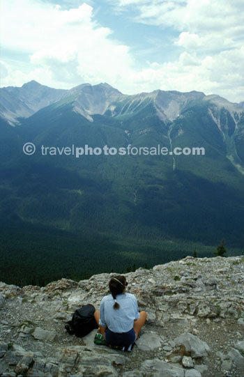LONELY VIEW