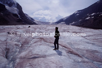 COLUMBIAN ICEFIELDS