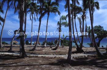 VIEW FROM BURE