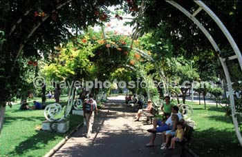 MAIN PARK