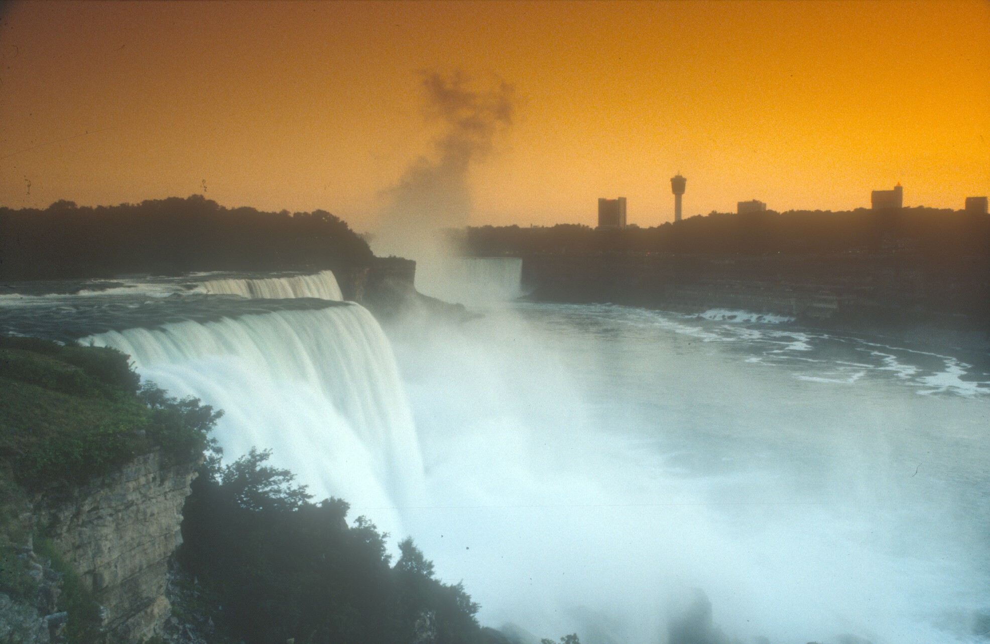 CANNIAGRA3