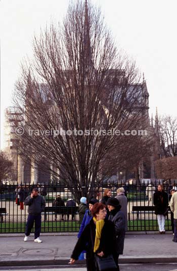 notre dame