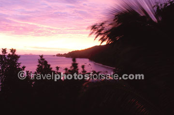 LILAC SUNSET