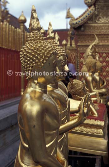 GOLDEN BUDDHAS